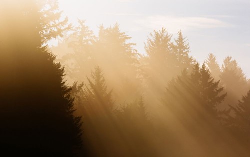Fototapeta Niebo, Natura i zjawisko atmosferyczne