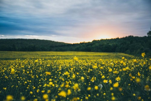 Fototapeta Ludzie w przyrodzie, łąka i naturalny krajobraz