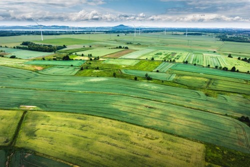 Fototapeta Naturalny krajobraz, Natura i łąka