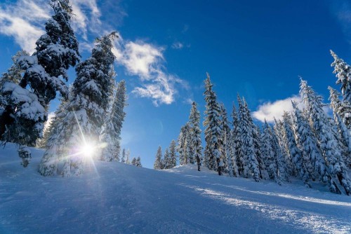 Fototapeta Zimowy, śnieg i niebo