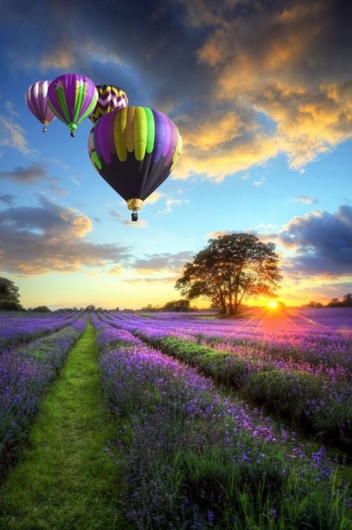 Fototapeta Balony
