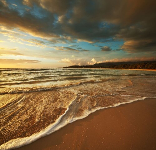 Fototapeta Piana na morskiej plaży