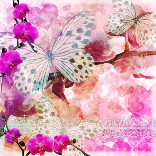 Fototapeta Orchidea