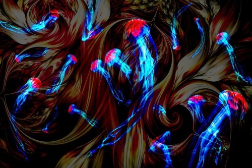 Fototapeta Meduzy i ogień