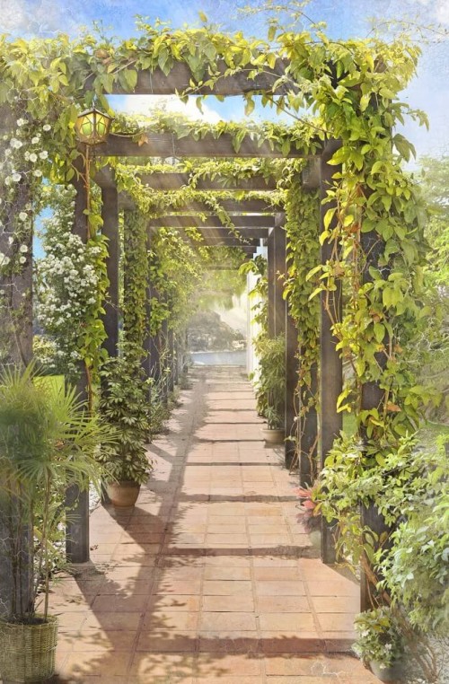 Fototapeta Prywatny Eden