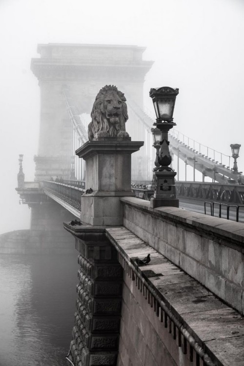Fototapeta Biały, woda i zjawisko atmosferyczne