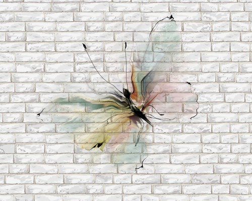 Fototapeta Motyl na ścianie