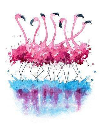 Fototapeta Flamingo