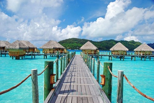 Fototapeta Maldivi