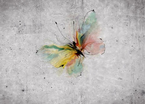 Fototapeta Niewyraźny motyl 