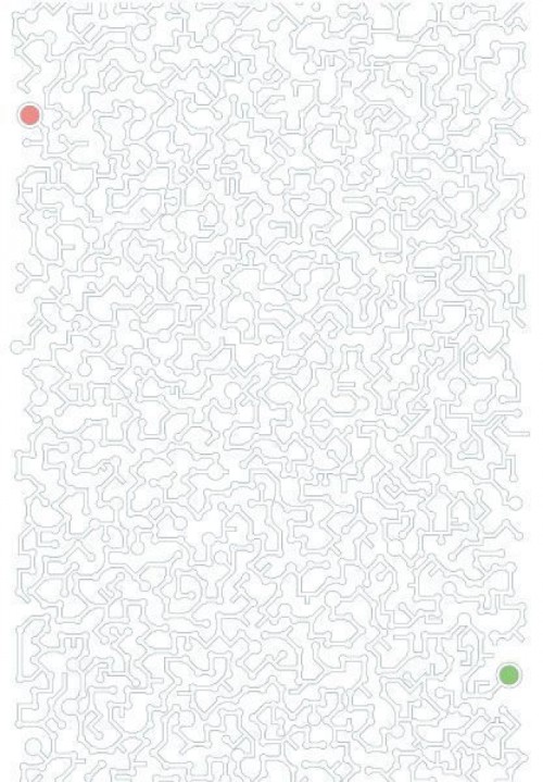 Fototapeta labirynt