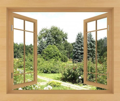 Fototapeta Widok z okna