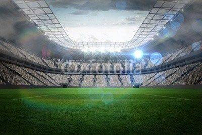 Fototapeta Duży piłkarski stadion