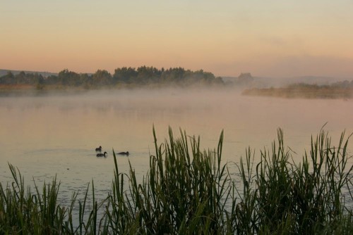 Fototapeta Naturalny krajobraz, Natura i zamglenie