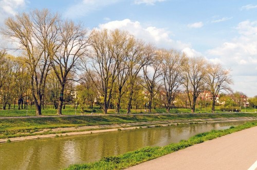Fototapeta Naturalny krajobraz, Natura i drzewo