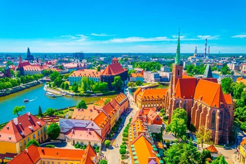 Fototapeta Zielone drzewa Wrocławia