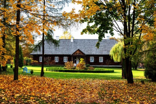 Fototapeta Drzewo, Natura i liść