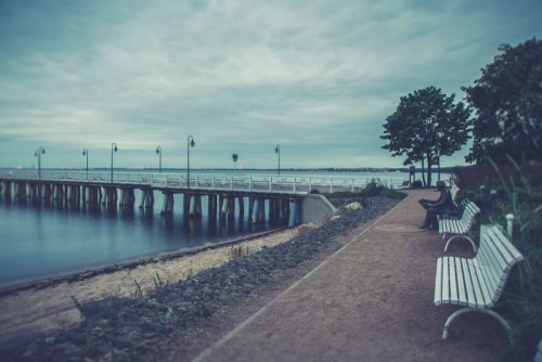 Fototapeta Na brzegu Morza Bałtyckiego