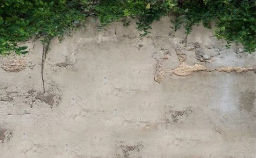 Fototapeta Ściana, gleba i beton