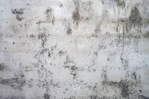 Fototapeta Biały, Ściana i beton