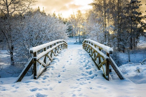 Fototapeta śnieg, zimowy i Natura