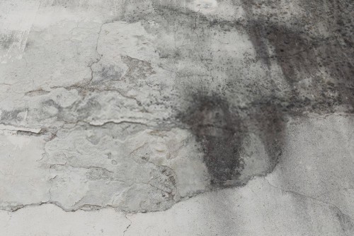 Fototapeta Ściana, cement i beton