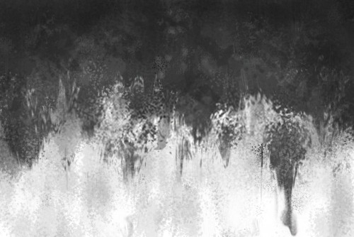 Fototapeta Woda, czarny i biały i fotografia monochromatyczna