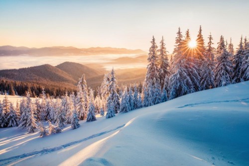 Fototapeta śnieg, niebo i zimowy