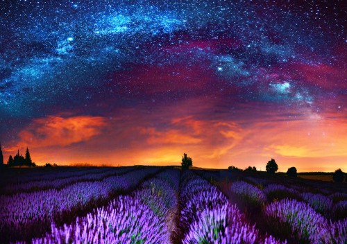 Fototapeta Niebo, Natura i lawenda