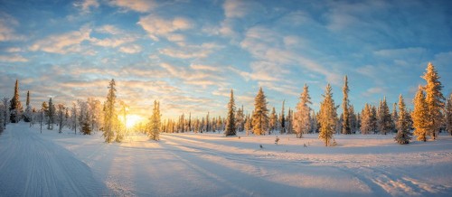 Fototapeta śnieg, zimowy i niebo