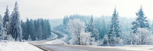 Fototapeta śnieg, drzewo i zimowy