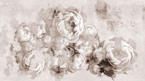 Fototapeta peonie w stylu vintage