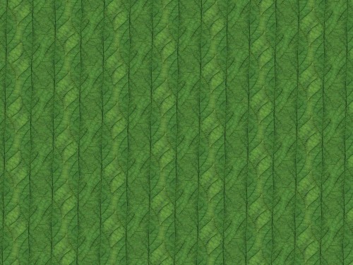 Fototapeta Liście zielony