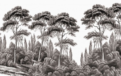 Fototapeta Niebo, roślina i środowisko naturalne
