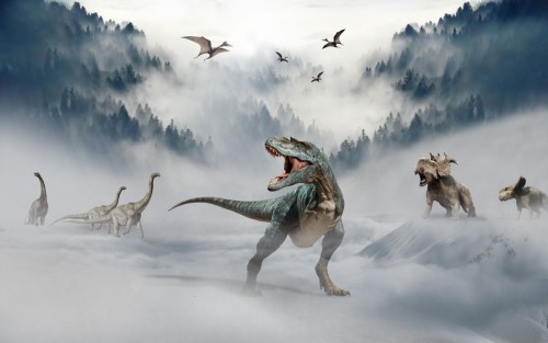 Fototapeta Kręgowiec, niebo i Natura