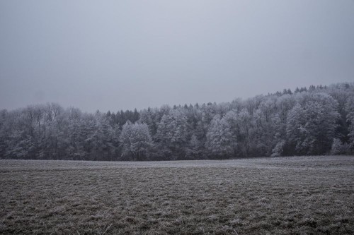 Fototapeta Zjawisko atmosferyczne, niebo i mróz
