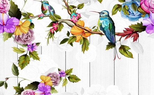 Fototapeta Kolibry na kwitnącej gałązce