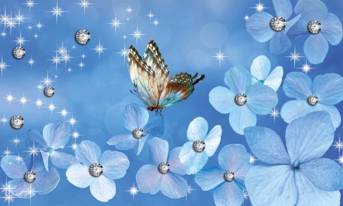 Fototapeta Motyl na kwiatach