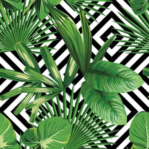 Fototapeta Tropikalnych liści palmowych, geometryczny wzór tła