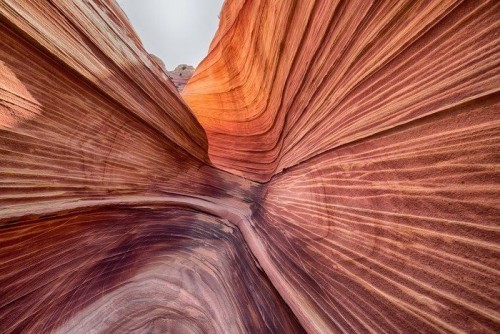 Fototapeta Fala, Coyote Buttes