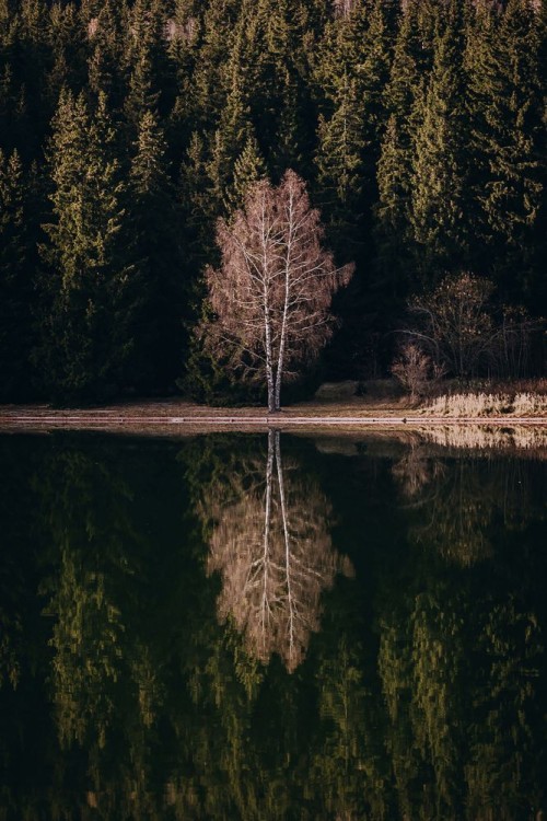 Fototapeta Odbicie, woda i Natura