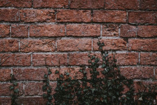 Fototapeta Murarstwo, cegła i Ściana