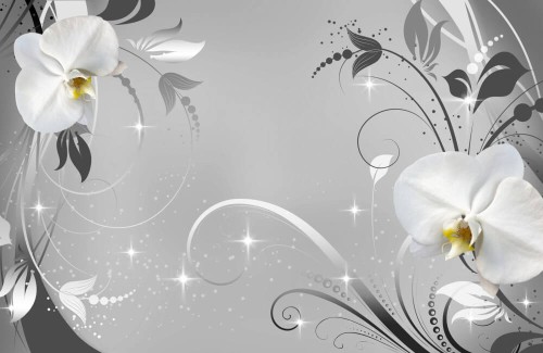 Fototapeta Orchidee w gwiezdnym blasku 