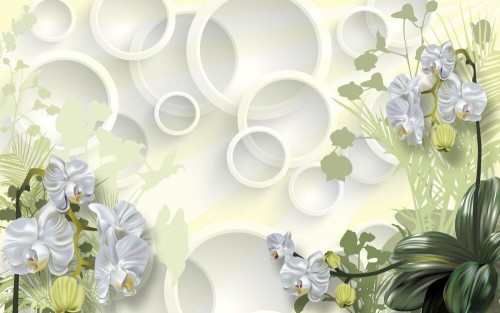 Fototapeta Śnieżnobiałe orchidee