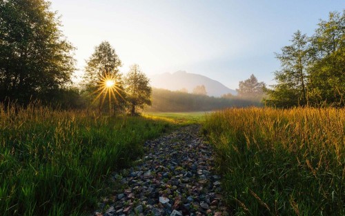 Fototapeta Naturalny krajobraz, Natura i ranek