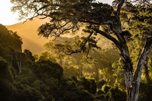 Fototapeta Natura, naturalny krajobraz i wegetacja