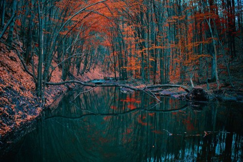 Fototapeta Odbicie, Natura i woda