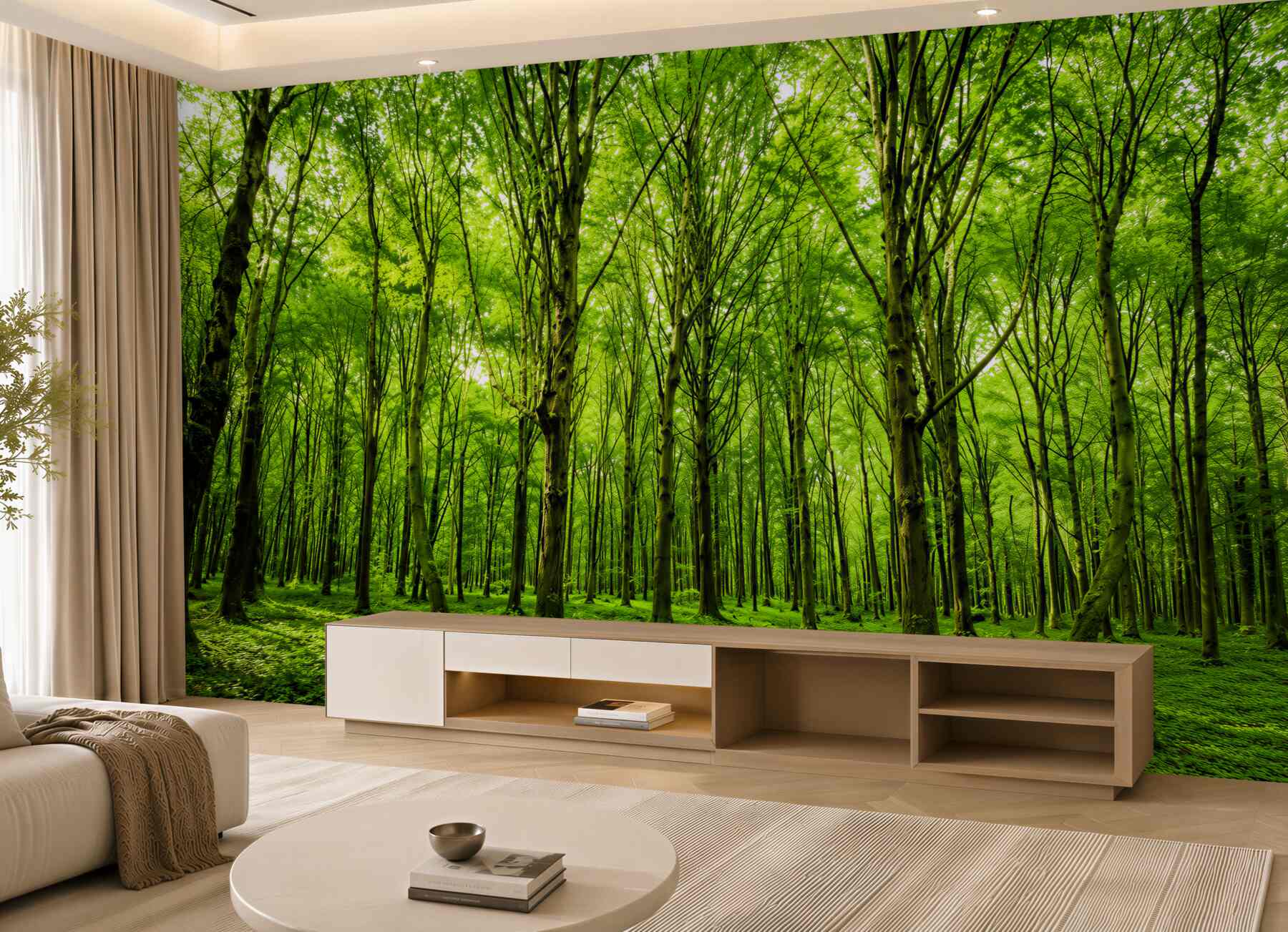 Fototapeta zielony las we mgle z promieniami słońca spokojna natura