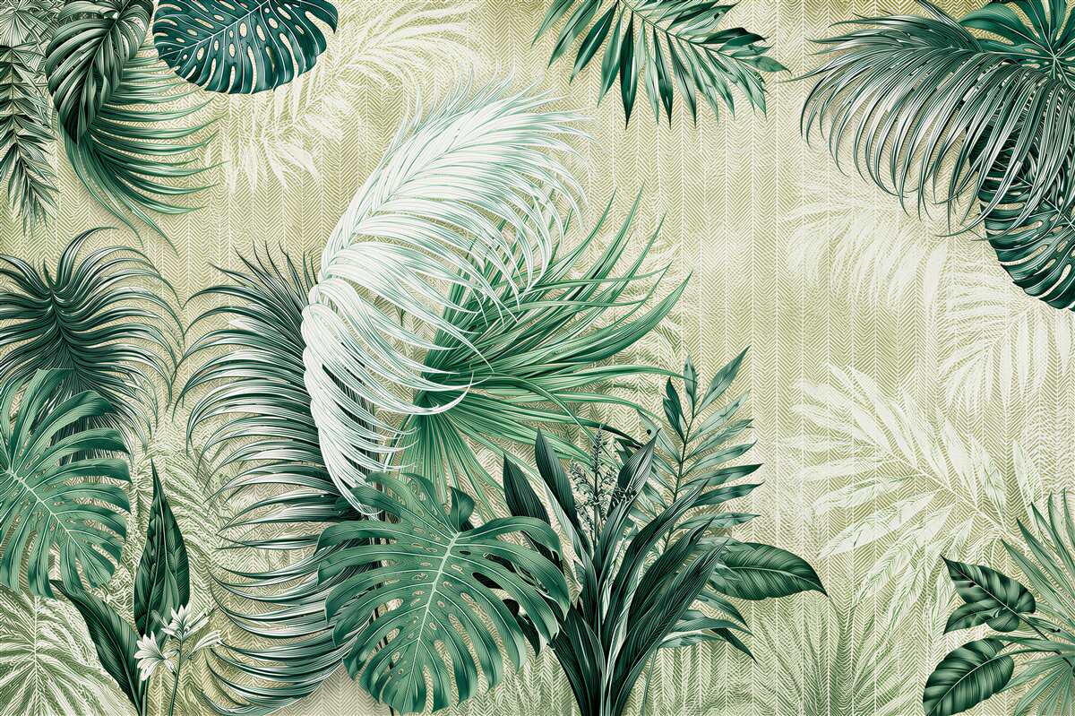 Fototapeta liście tropikalne zielone monstera i palma na jasnym tle