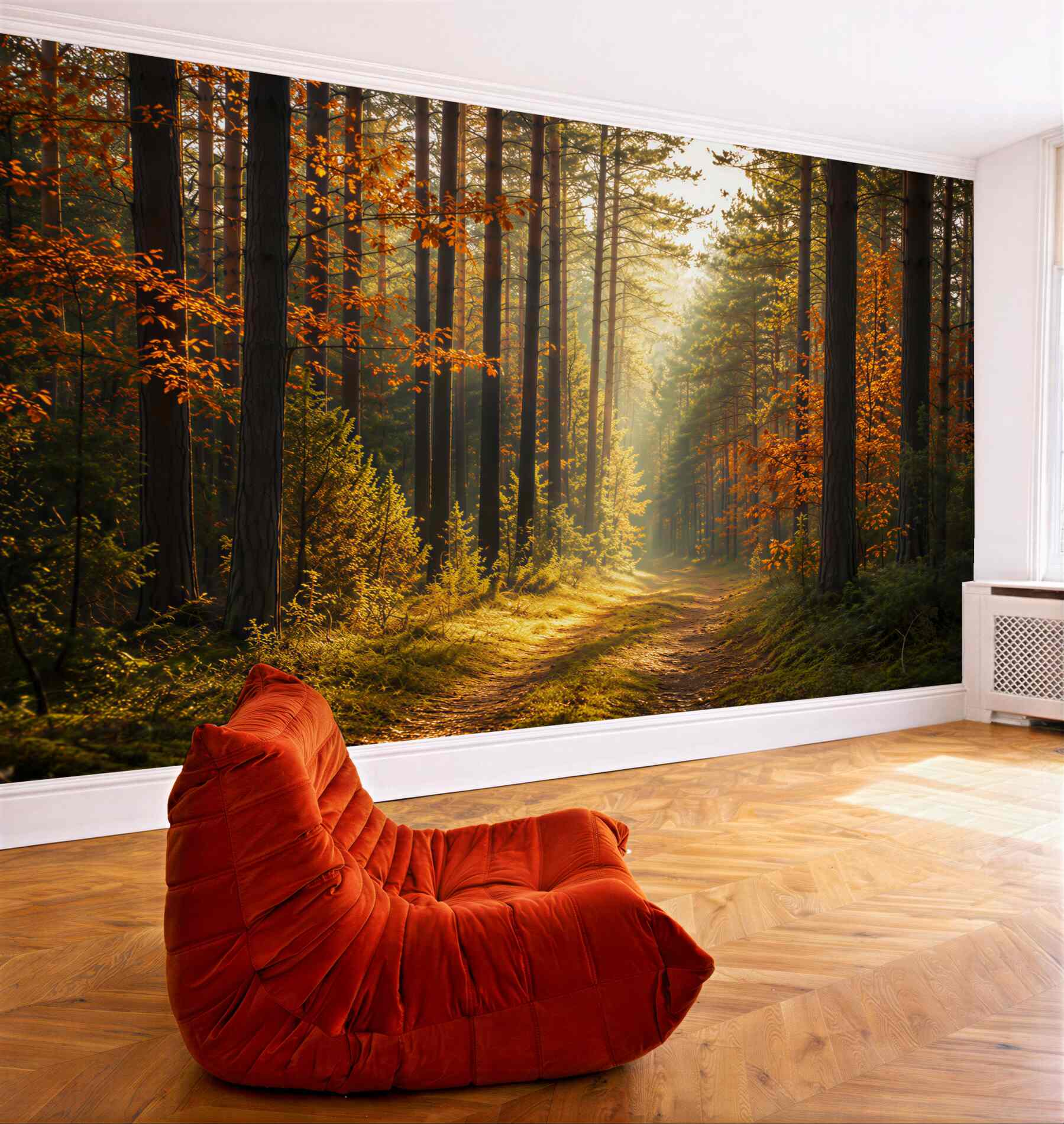 Fototapeta słońce w jesiennym lesie?v23